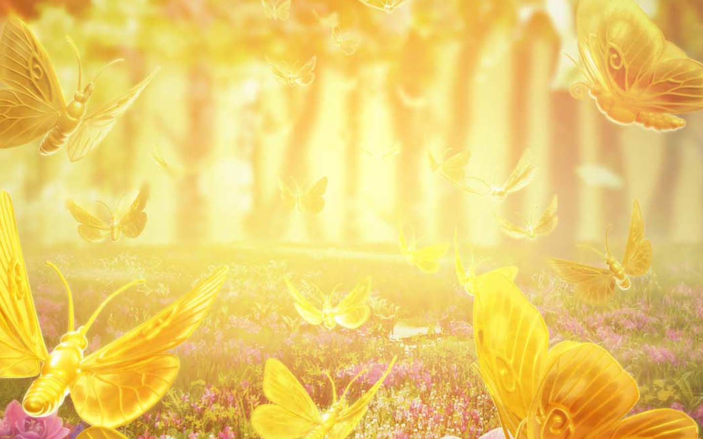 outer-background