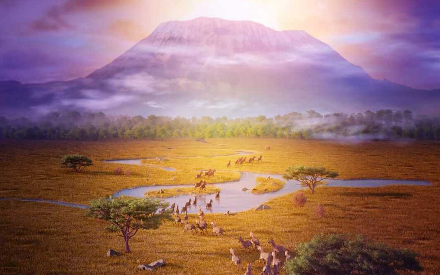 outer-background