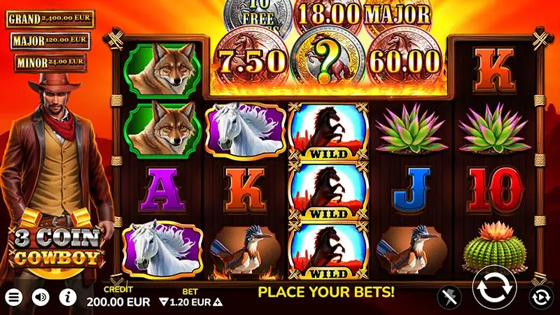 3 Coin Cowboy