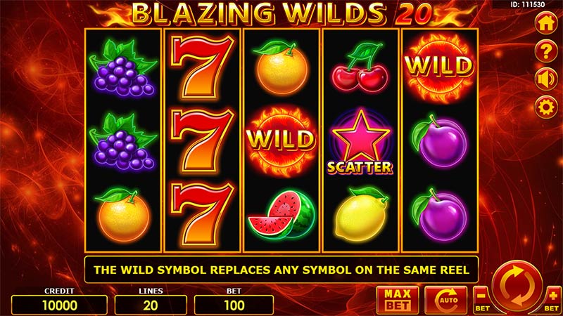 Blazing Wilds