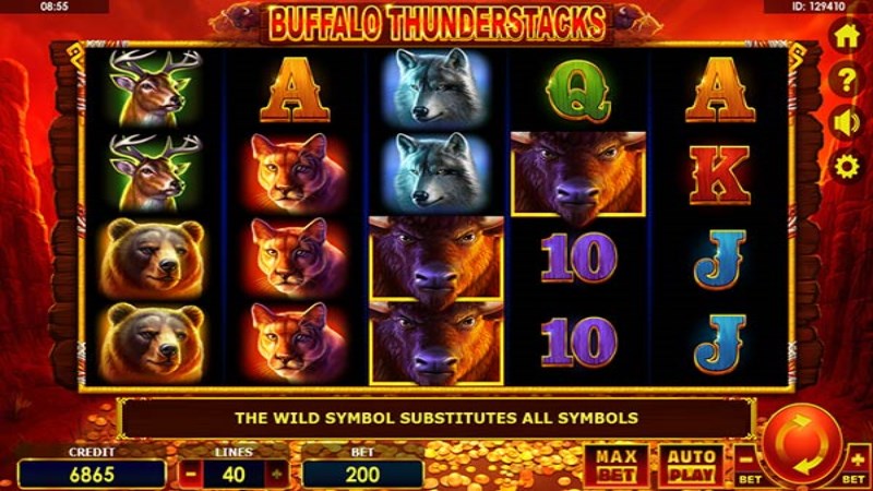 Buffalo Thunderstacks