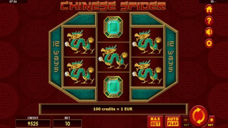 Chinese Spider