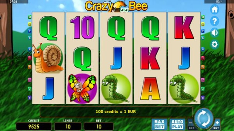 Crazy Bee