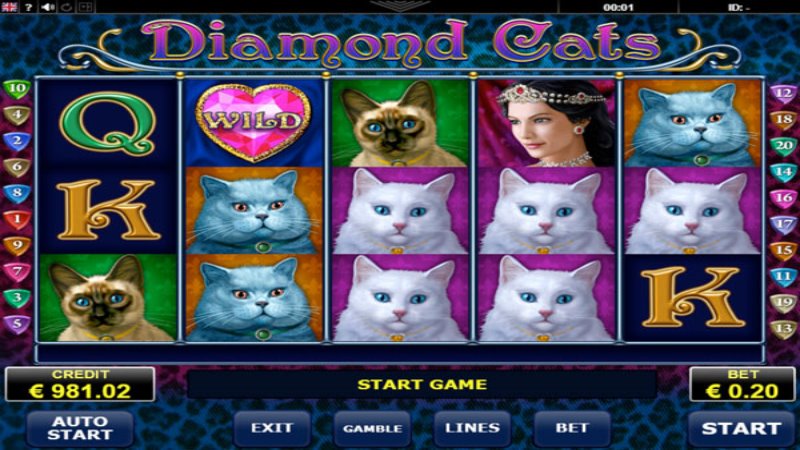 Diamond Cats