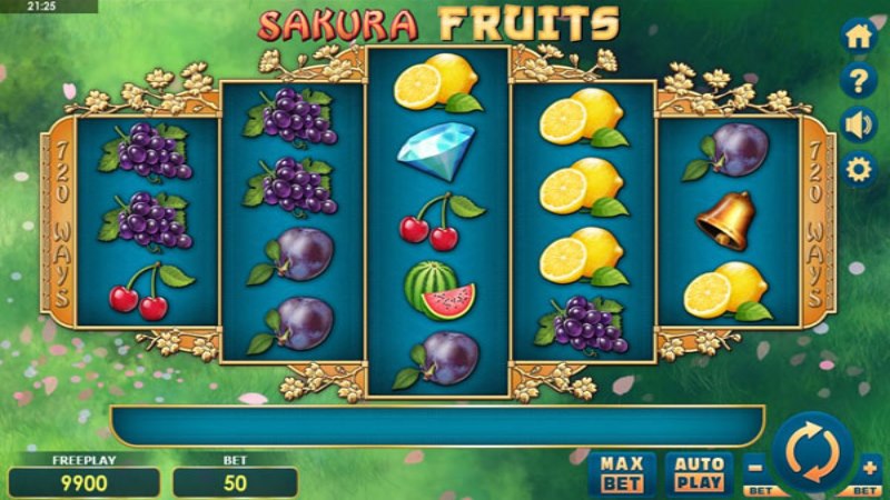 Sakura Fruits