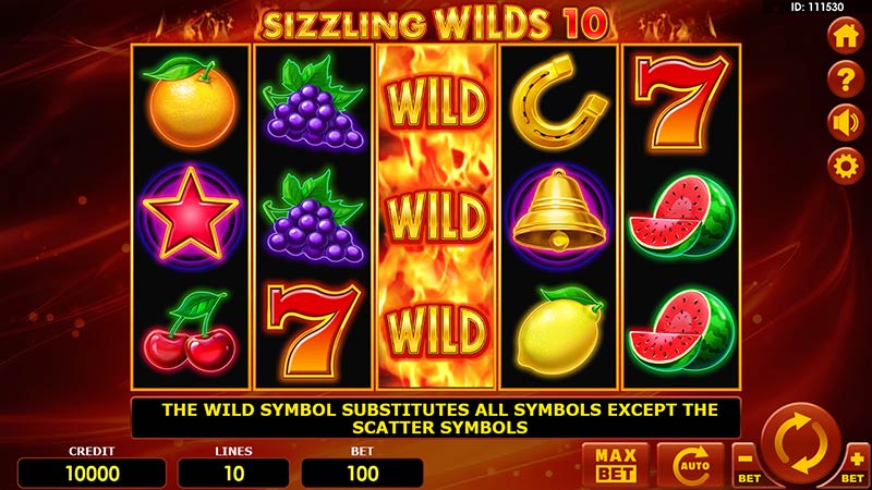 Sizzling Wilds 10
