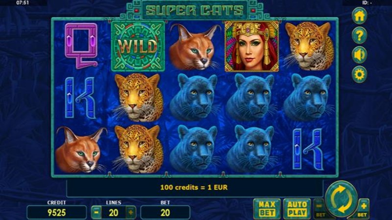 Super Cats