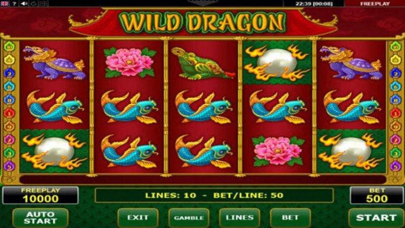 Wild Dragon