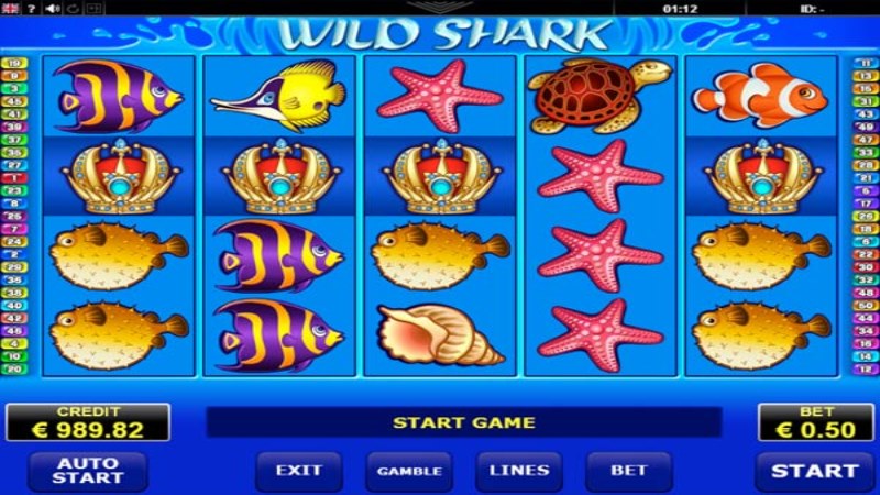 Wild Shark