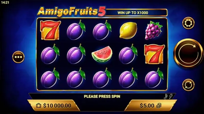 Amigo Fruits 5