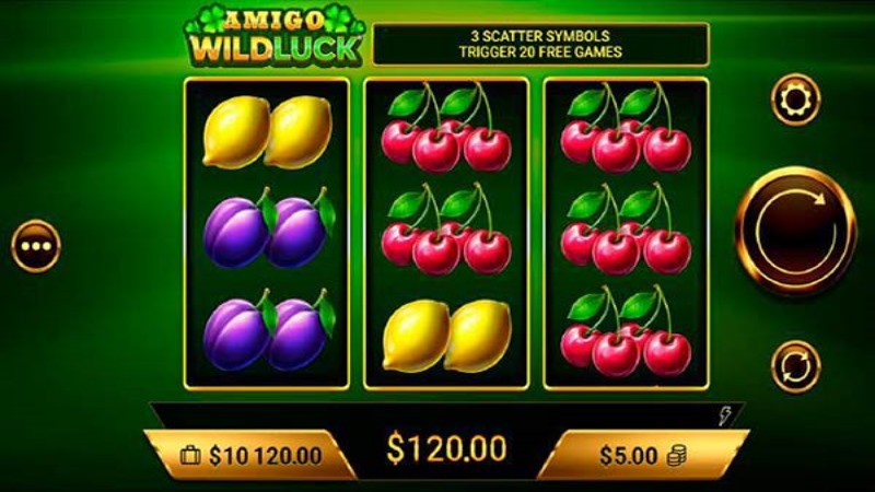 Amigo Wild Luck