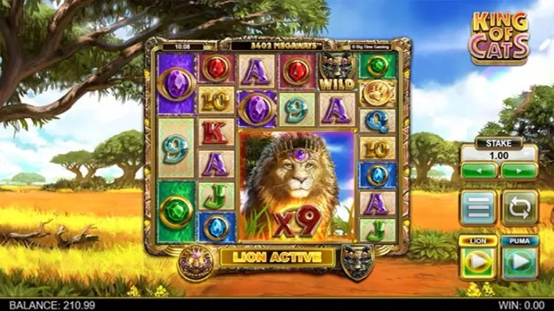 King of Cats