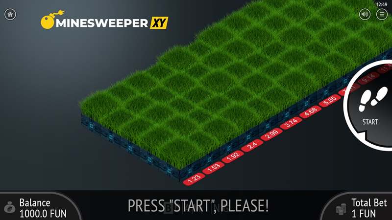 Minesweeper XY