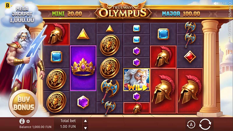 Olympus TRUEWAYS