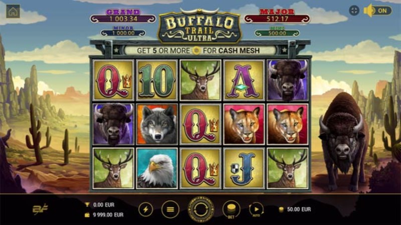 Buffalo Trail Ultra