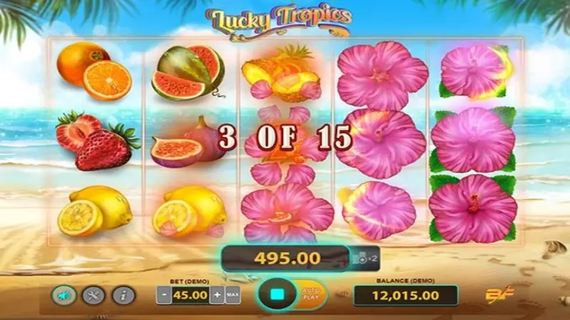 Lucky Tropics