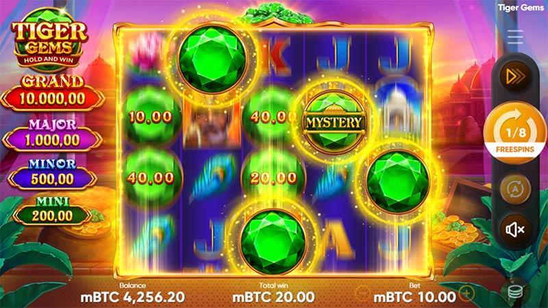 Tiger Gems Hold and Win