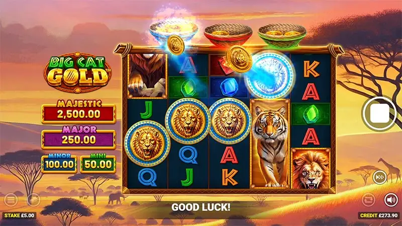 Big Cat Gold