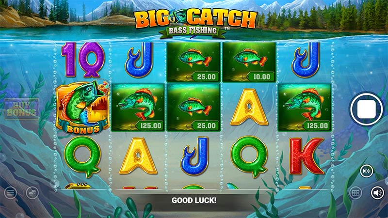 Big Catch Bass Fishing