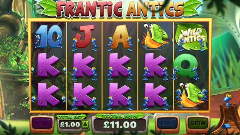 Wild Antics