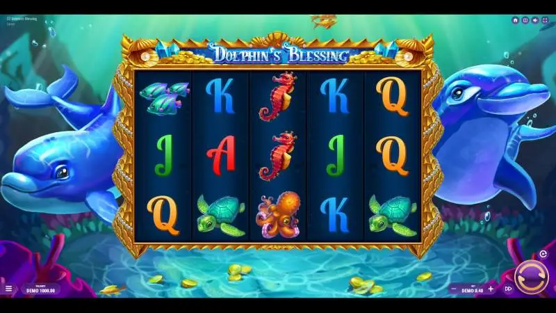 Dolphins Blessing