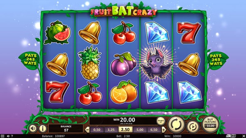 FruitBat Crazy