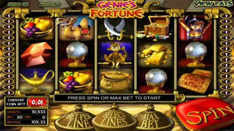 Genie's Fortune