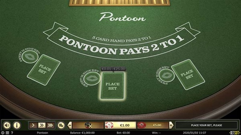 Pontoon 21
