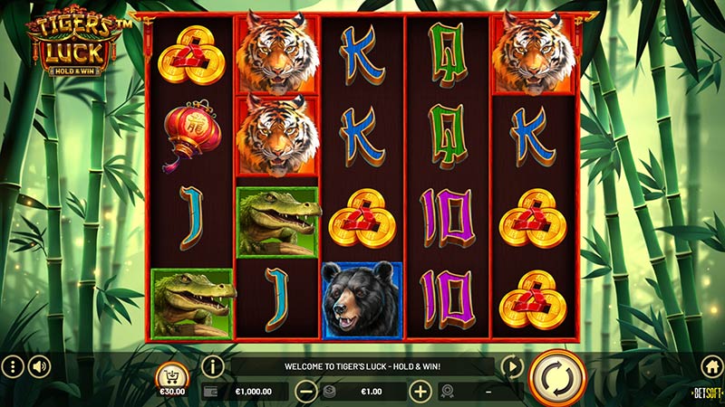 Tigers Luck Hold and Win
