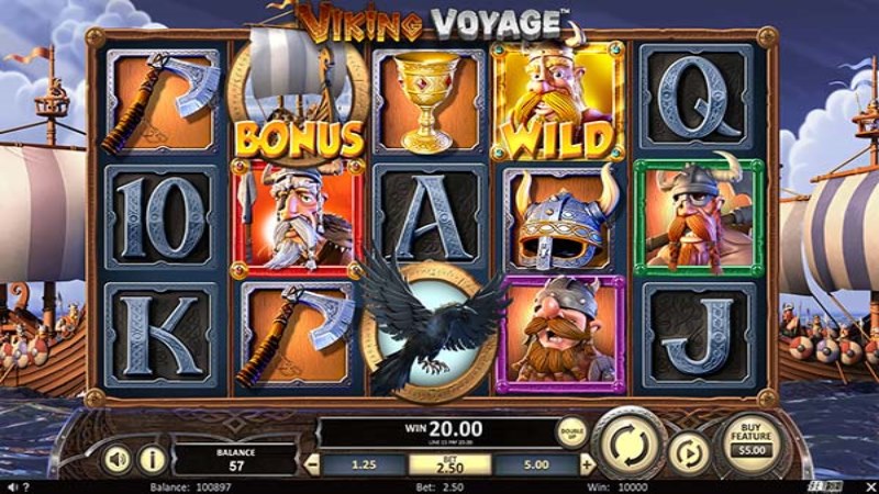 Viking Voyage