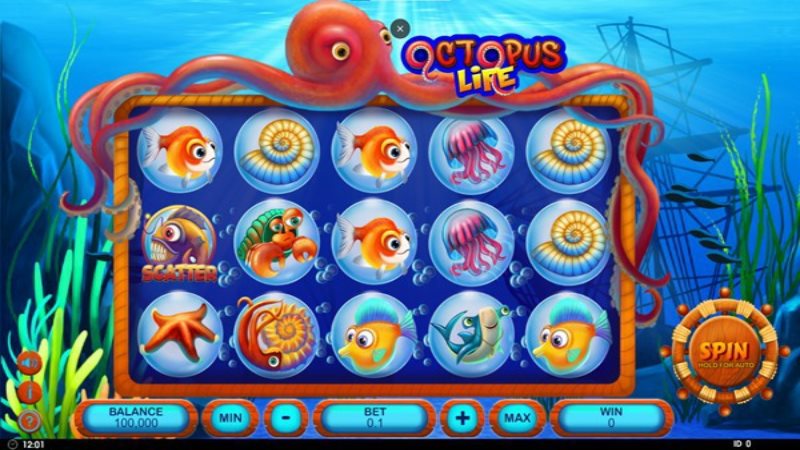 Octopus Life