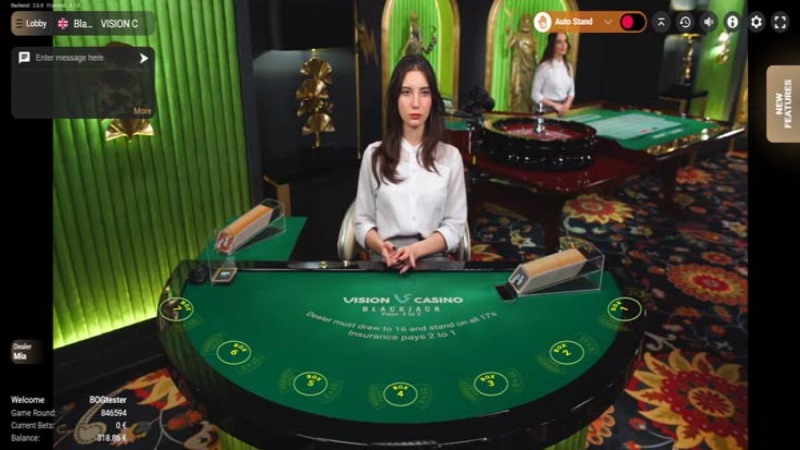 BlackJack VISION D