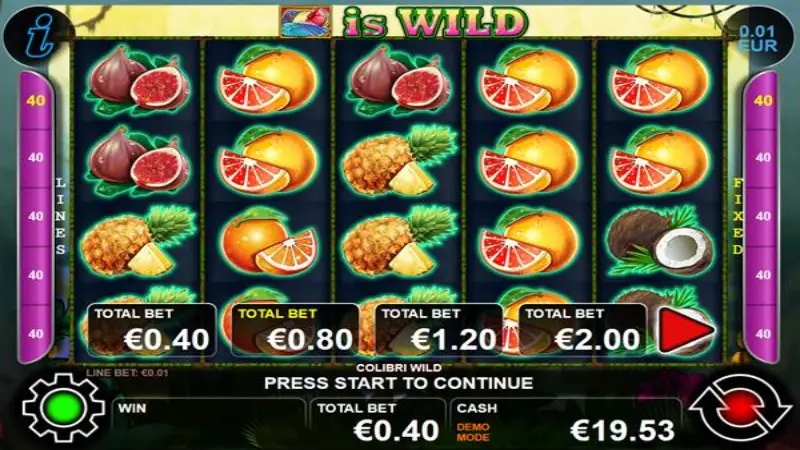 Colibri Wild