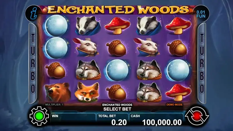 Enchanted Woods