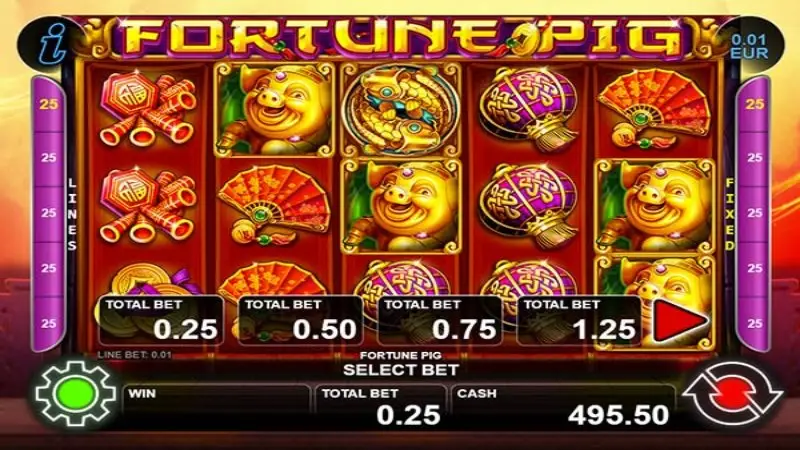 Fortune Pig