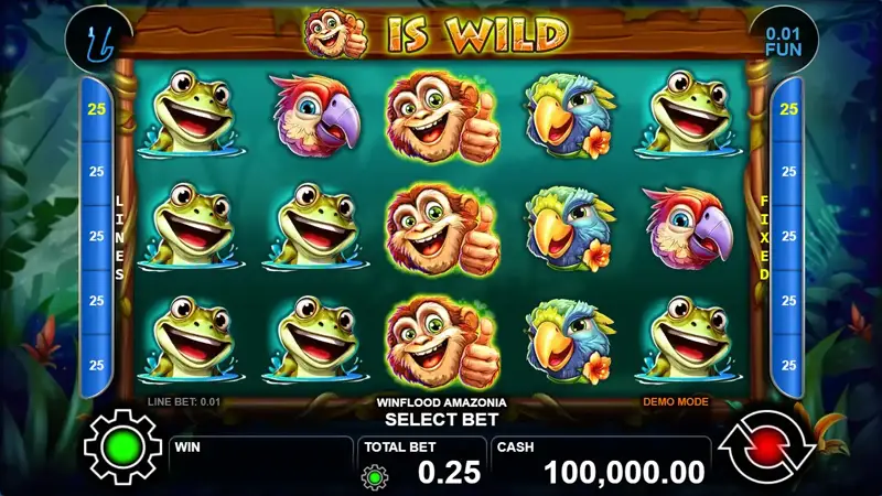 Winflood Amazonia