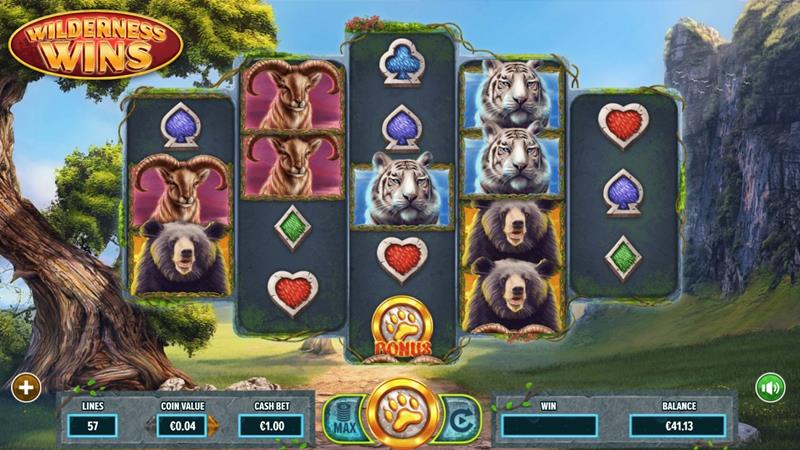 Wilderness Wins