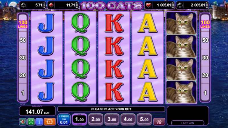 100 Cats