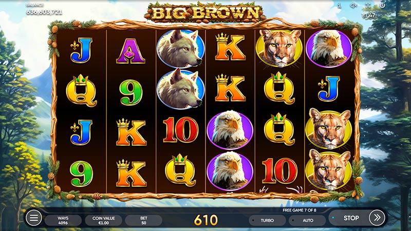 Big Brown