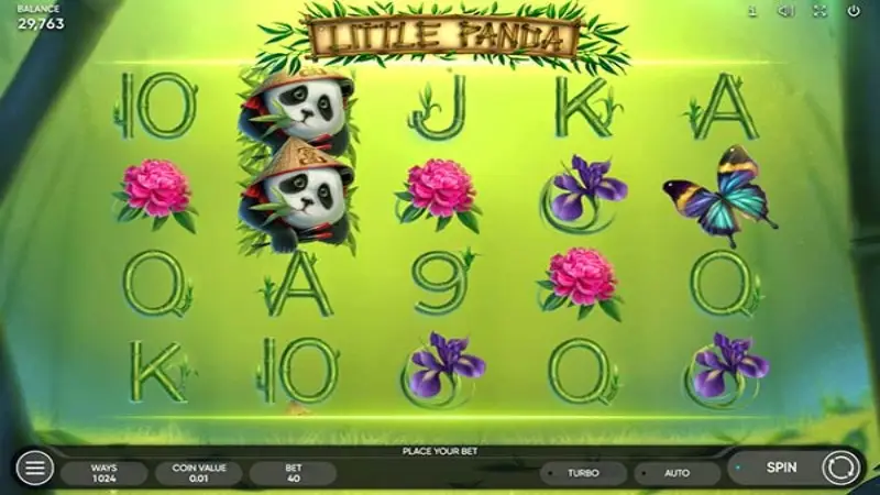 Little Panda