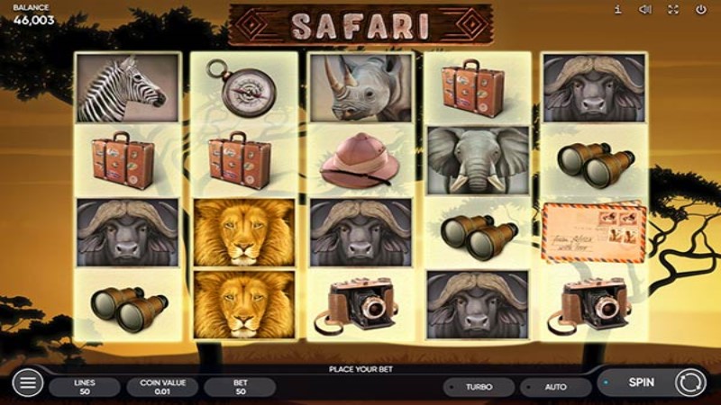 Safari