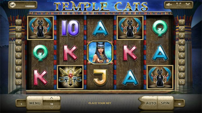 Temple Cats