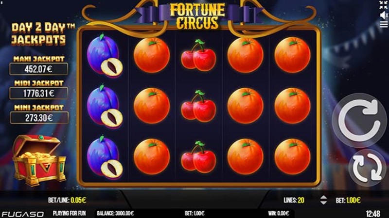 Fortune Circus