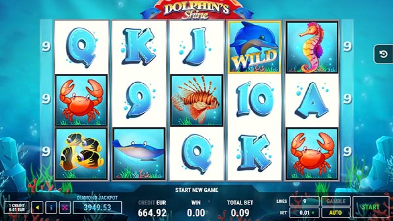 Dolphins Shine