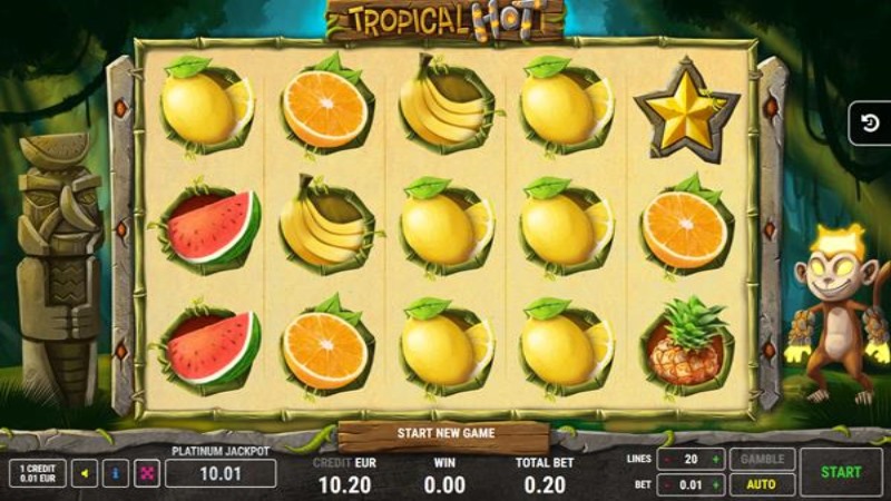 Tropical Hot