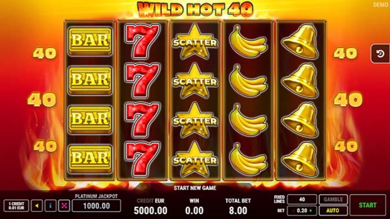 Wild Hot 40