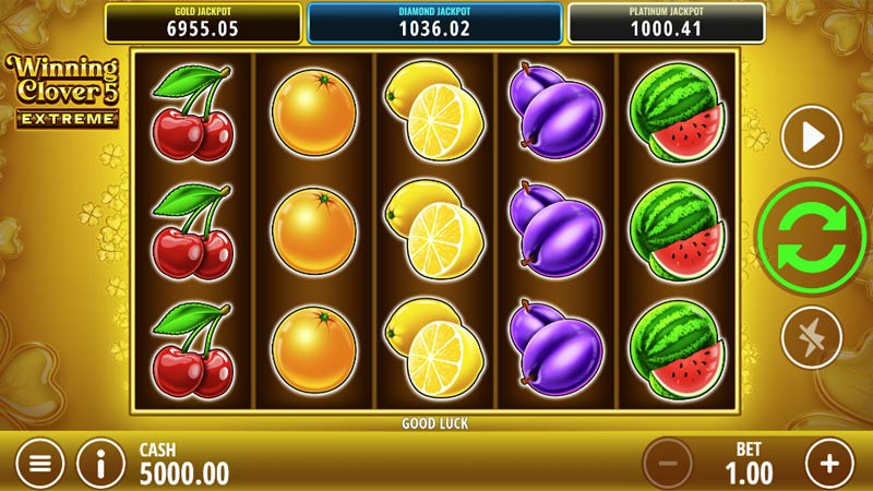Winning Clover 5 Extreme