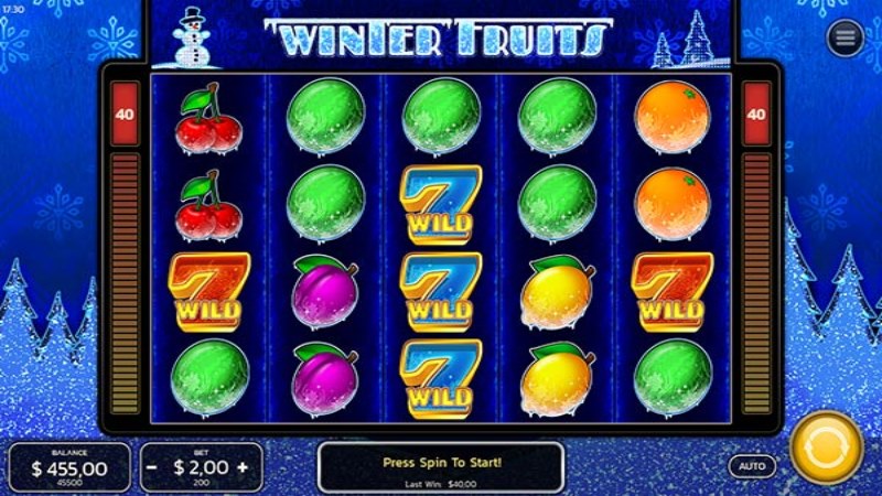 Winter Fruits