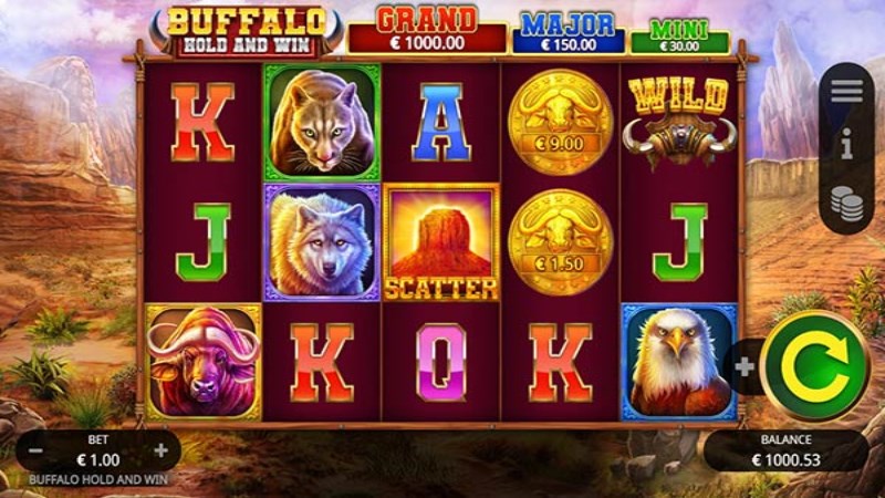 Buffalo Hold And Win