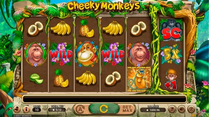 Cheeky Monkeys